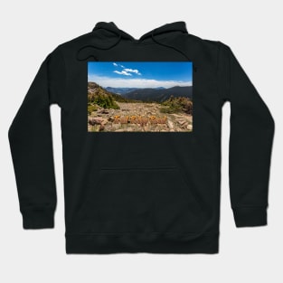 Trail Ridge Road in Rocky Mountain National Park Hoodie